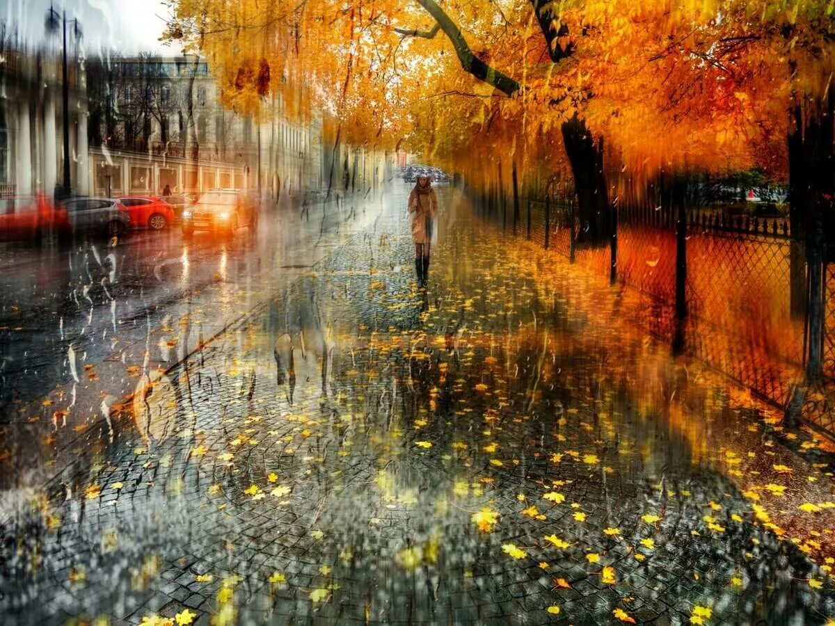 Уходящий вечер октября. Дождливая осень. Осень дождь. Осень в городе.
