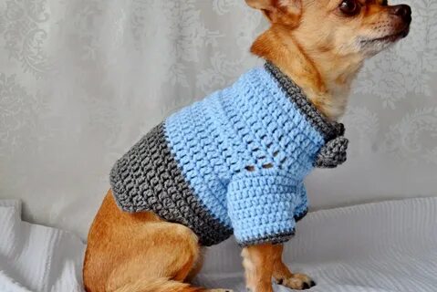Связать кофточку для маленькой собачки