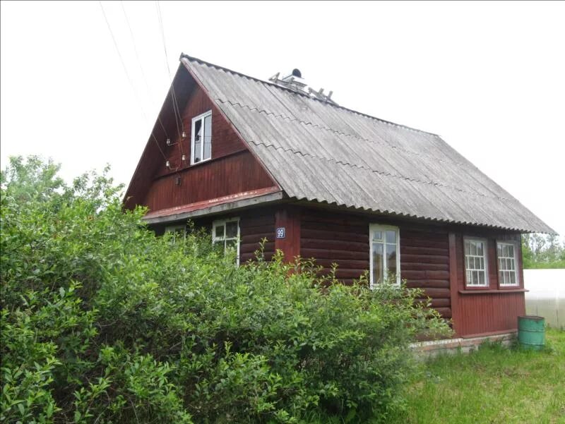 снт зайцево гатчинский район. большие тайцы гатчинский район ул санаторная 9. дом в тайцах в гатчинском районе. дом в тайцах в гатчинском районе. тайцы деревня.