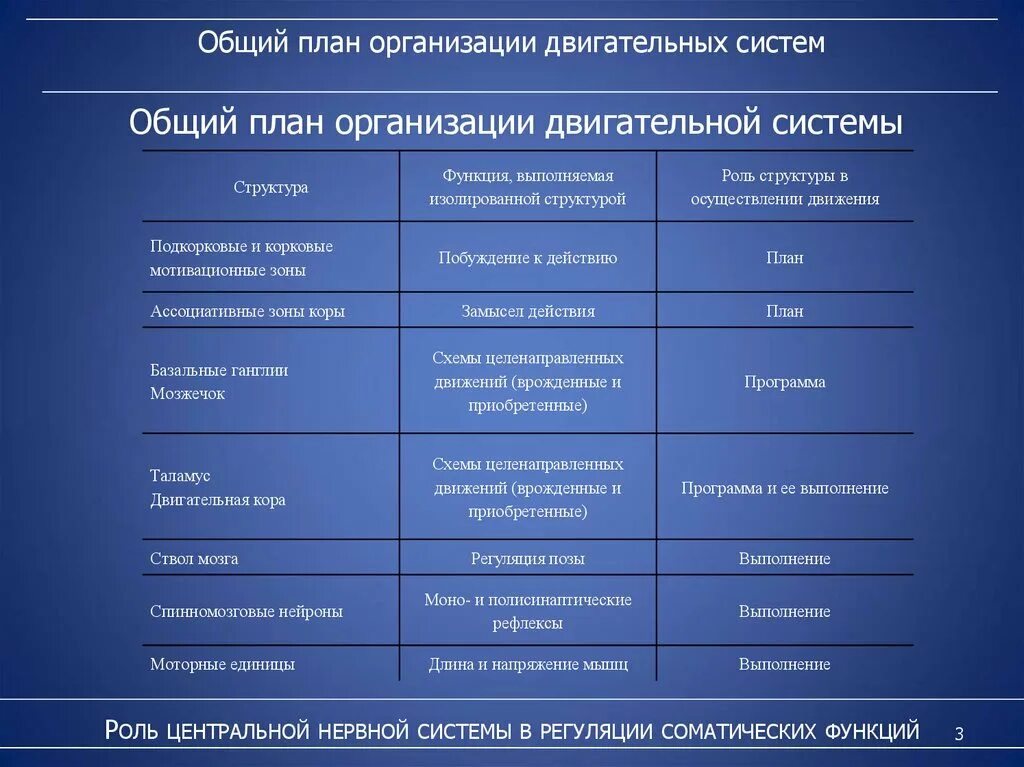 Функции нервной системы двигательная. Роль ЦНС. Функции отделов центральной нервной системы. Строение нервной системы таблица. Строение и функции ЦНС таблица.