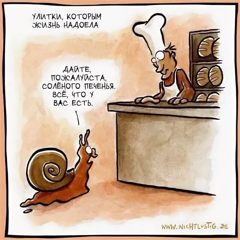 Заходит как то улитка. Улитка юмор. шутка про улитку. анекдот про улитку. улитка прикол.