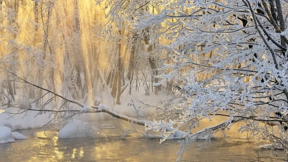 Весенние метели. Весенняя метель. Снег. Снежная буря весной. Весенняя метель.