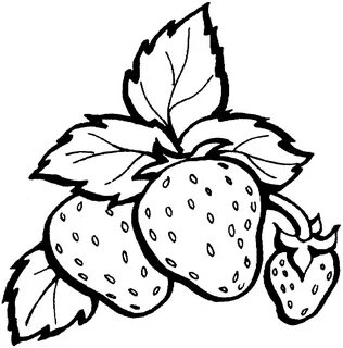 Coloring png
