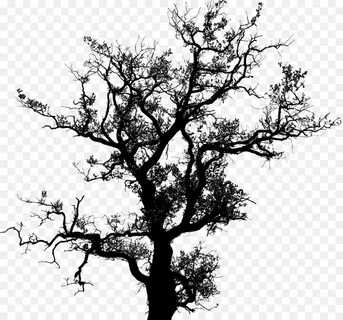 Black tree