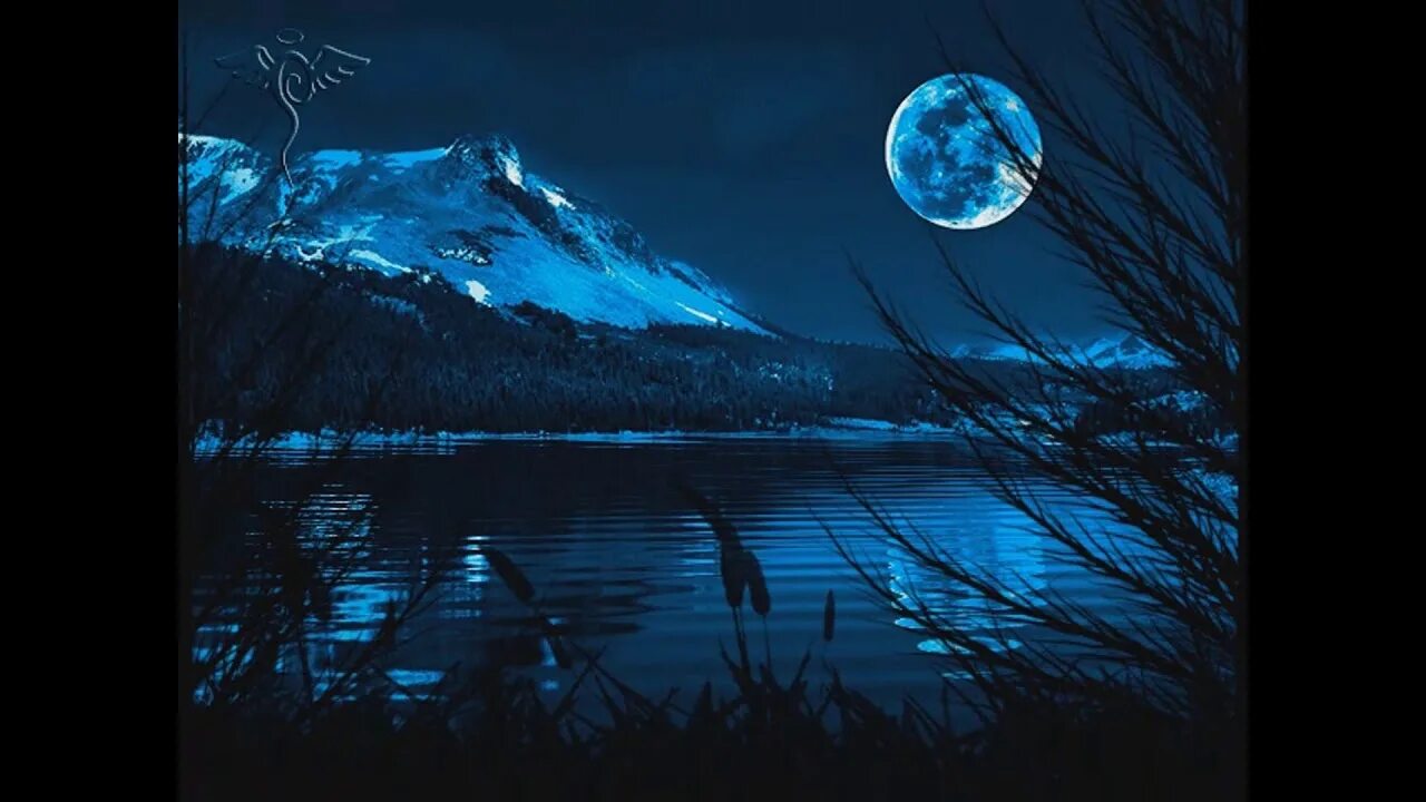 Синяя ночь. Холодная красота. Мрачняк ночь синее. Синий вечер гифки.