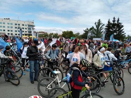 Велоомск 2024