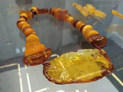 Янтарная академия