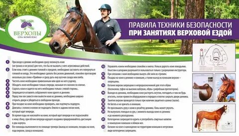 Езда значение