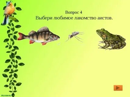 Любимое лакомство аистов