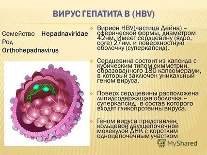 Гепатит с специфические иммуноглобулины