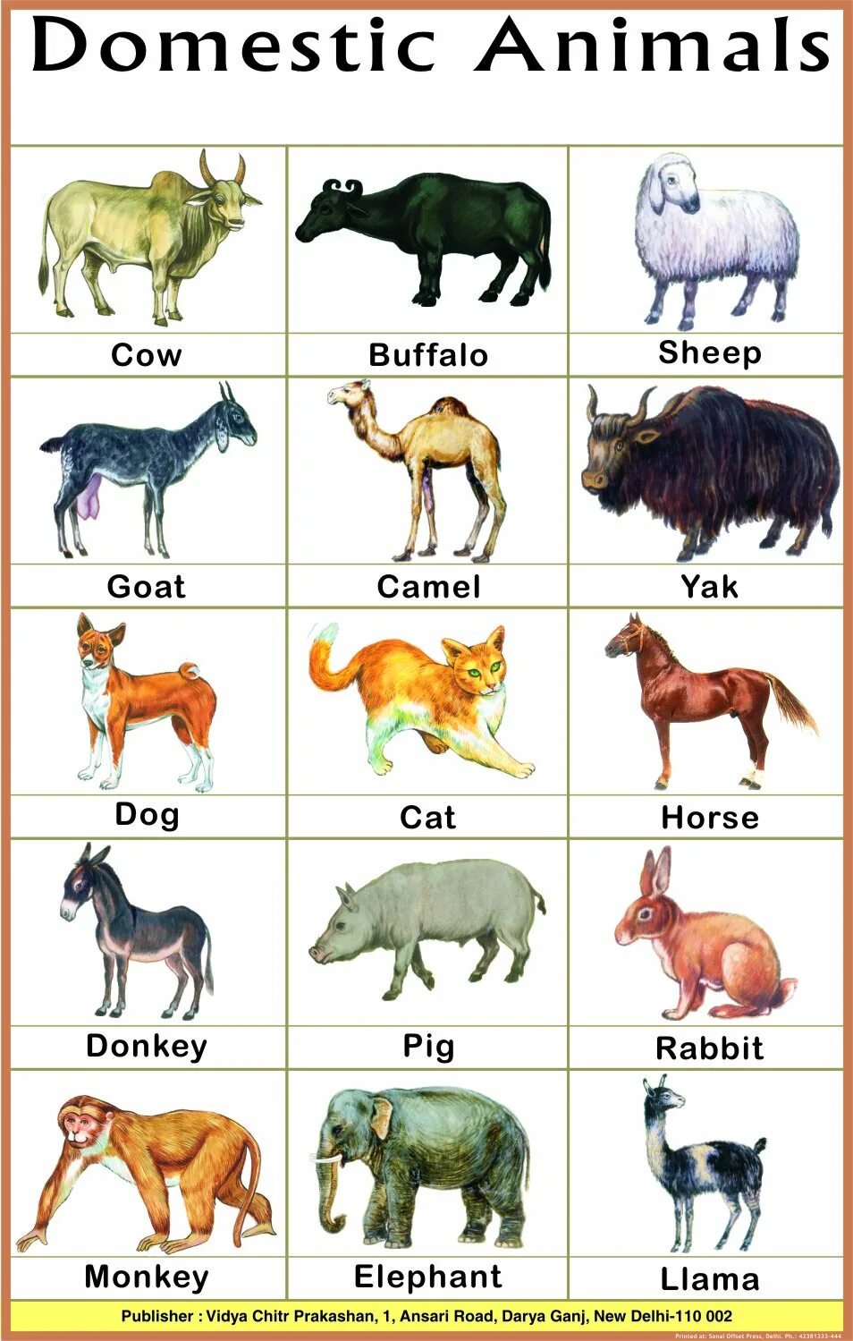 Домашние животные на английском. Домашние животные на английском языке для детей. Животные на английском для малышей. Дикие и домашние животные по английскому.