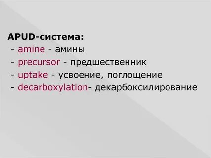 Апуд система