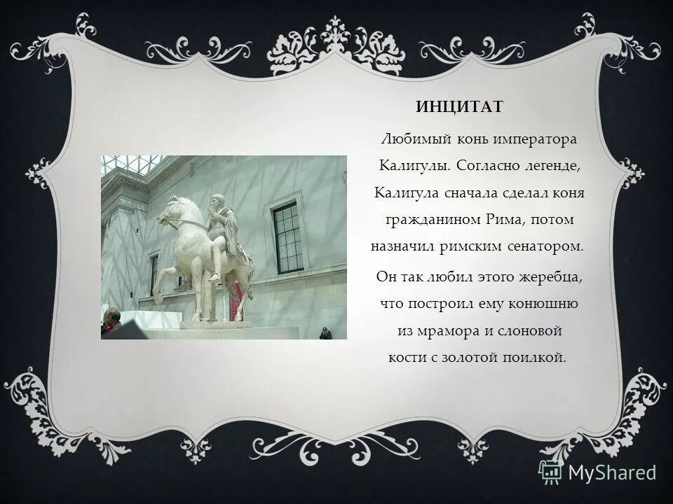 как звали коня императора. конь в сенате. лошадь римского императора калигулы. как звали коня императора. калигула лошадь.