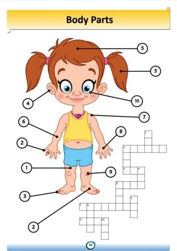 Части тела на английском. Части тела на английском задания. Части тела на английском для детей. Кроссворд части тела на английском.