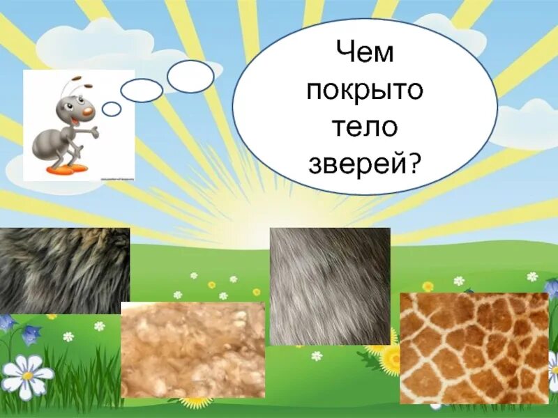 Презентация по теме животные 1 класс