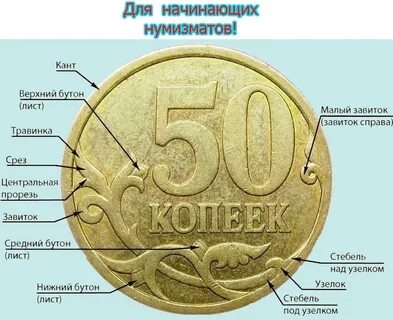 21 монет