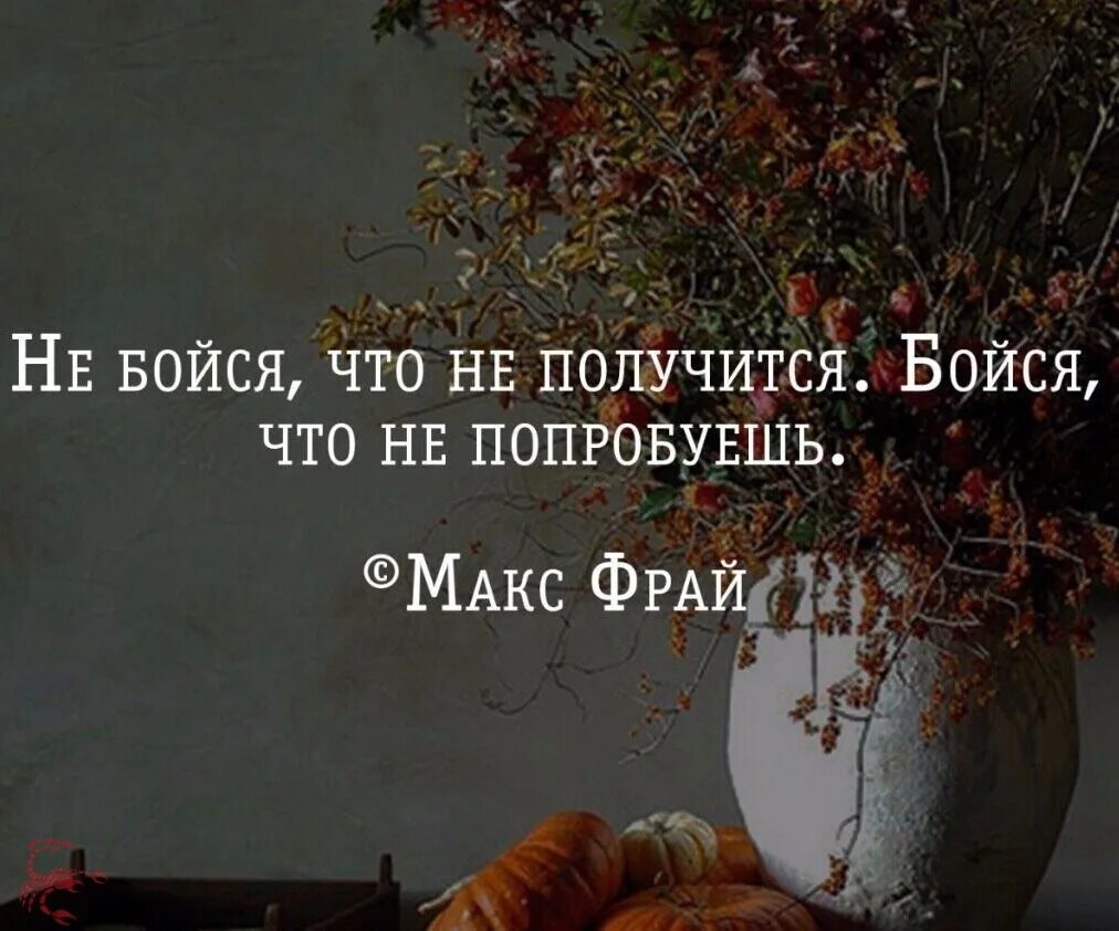 Не говори ничего фразы. Не бойтесь цитаты. Не бойся цитаты. Не бойтесь нового цитаты. Ничего не бойся цитаты.