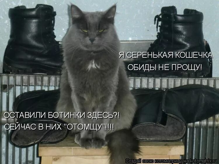 серенькая кошечка слушать