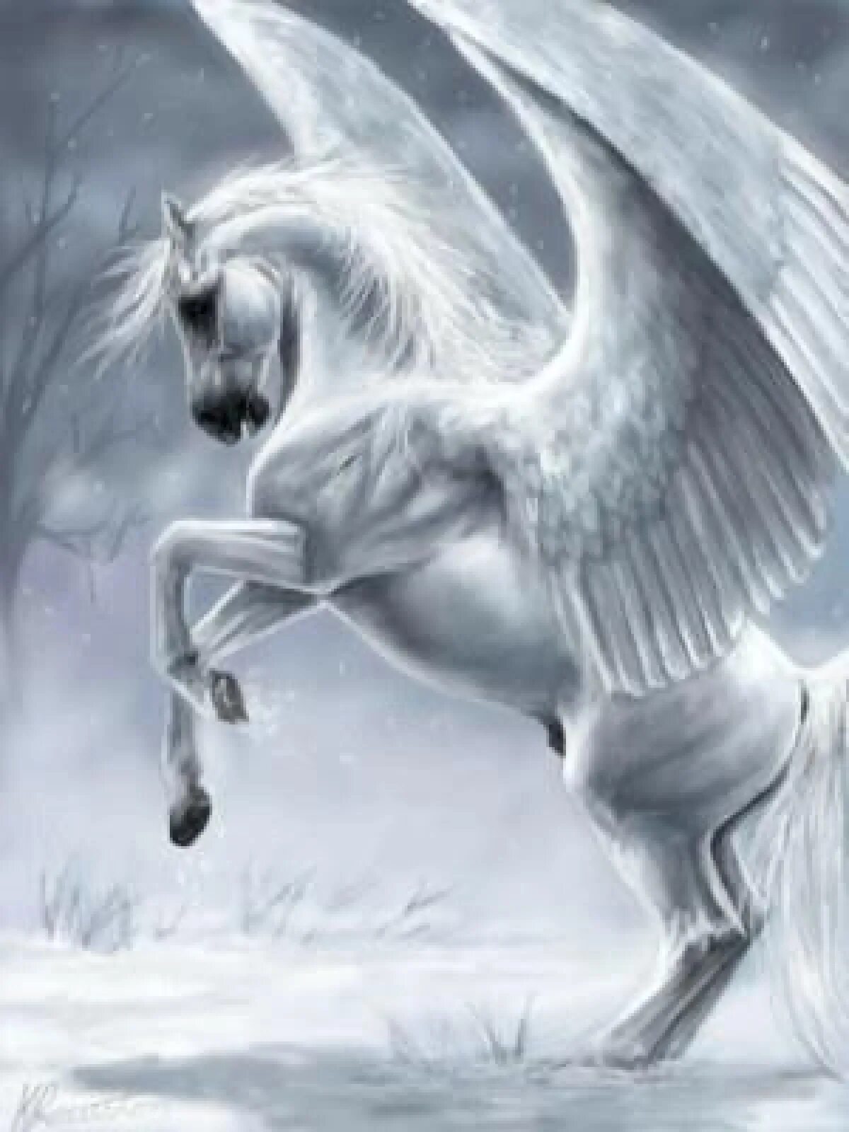 Какой из коней был крылатым. Мифический крылатый конь Пегас. Белый Пегас Единорог. Белая лошадь с крыльями. Конь с крыльями.