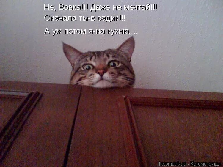 не отказывайся от мечты даже если она кажется недостижимой. верьте в мечты они имеют свойство сбываться. цитаты про мечты. мечты имеют свойство сбываться цитата. не мечтай.