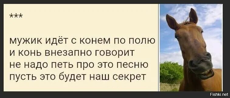 Шутки про лошадей. Шутки про коней.