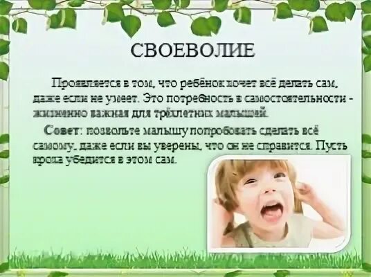 Своеволие