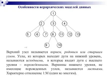 Графической моделью иерархической системы является цепь