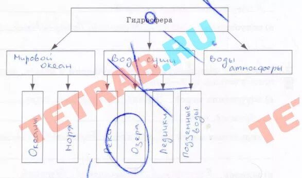 География 6 класс стр 135. Схема состав гидросферы 6 класс рабочая тетрадь. Заполните схему состав гидросферы 6 класс. Состав гидросферы 6 класс география рабочая тетрадь. Схема гидросфера 6 класс география рабочая тетрадь.