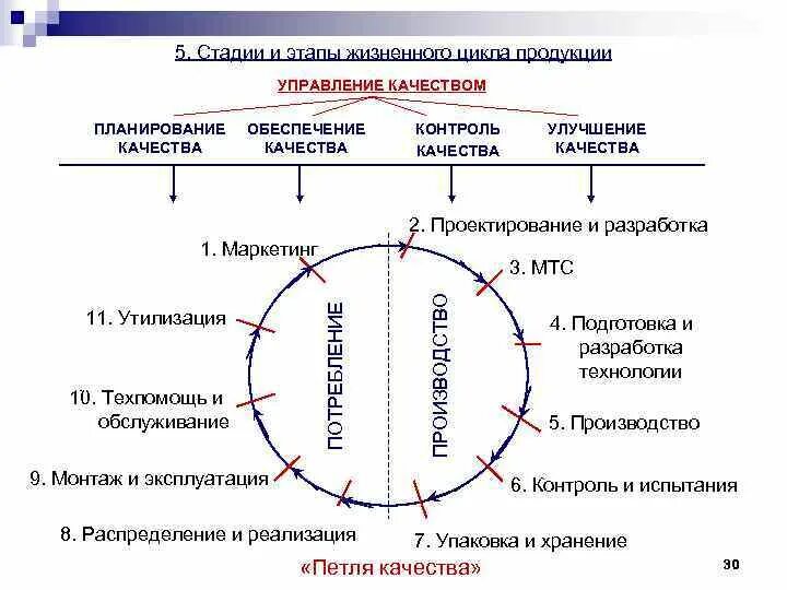 Этапы управления жизненного цикла. Контроль качества обеспечение качества управления качеством этапы. контролируемые стадии жизненного цикла продукции. жизненный цикл управление качеством. этапы жизненного цикла изделия.