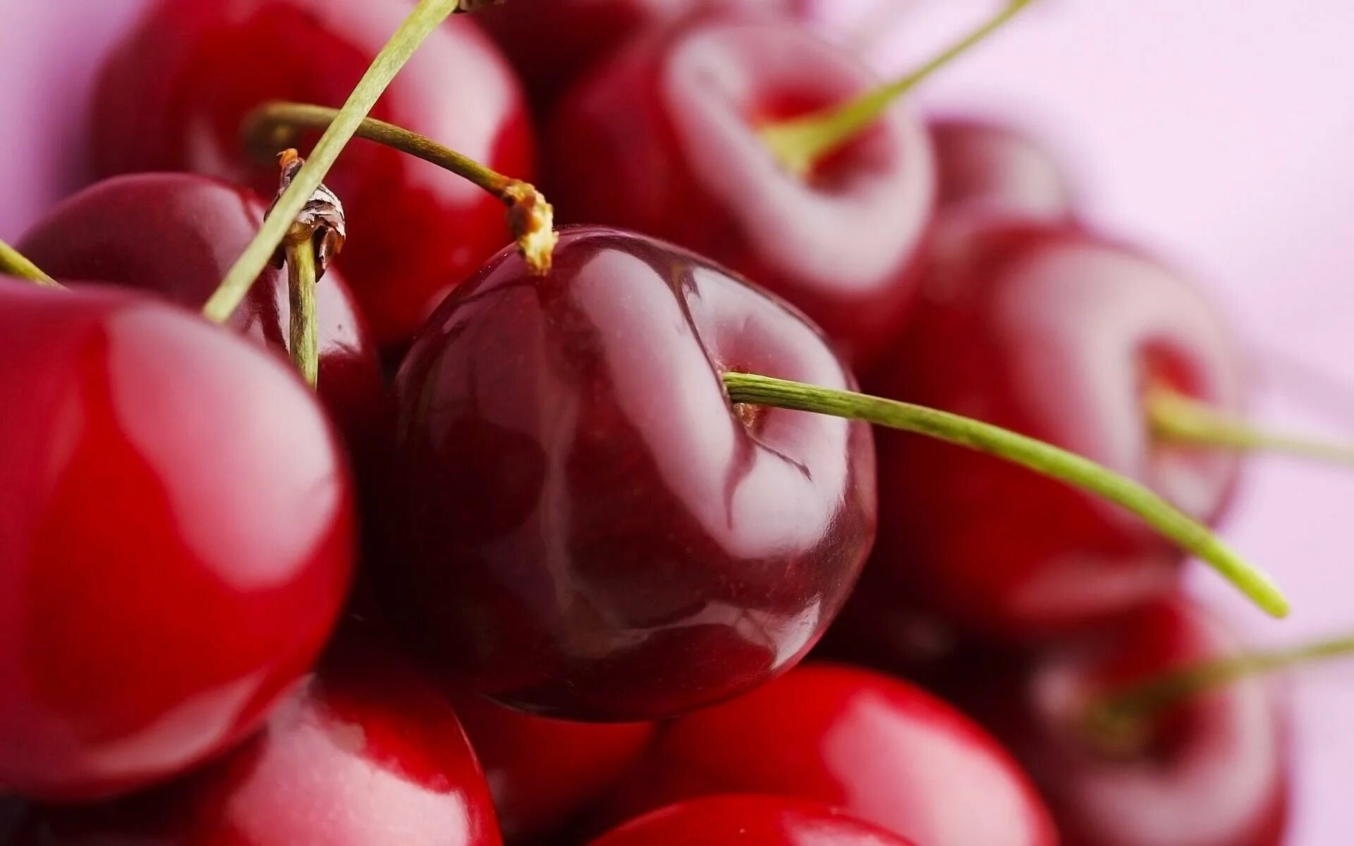 Высокое качество и отличный. Вишня "Red Cherry". Вишня и черешня. Красивые ягоды. Красивые картинки.