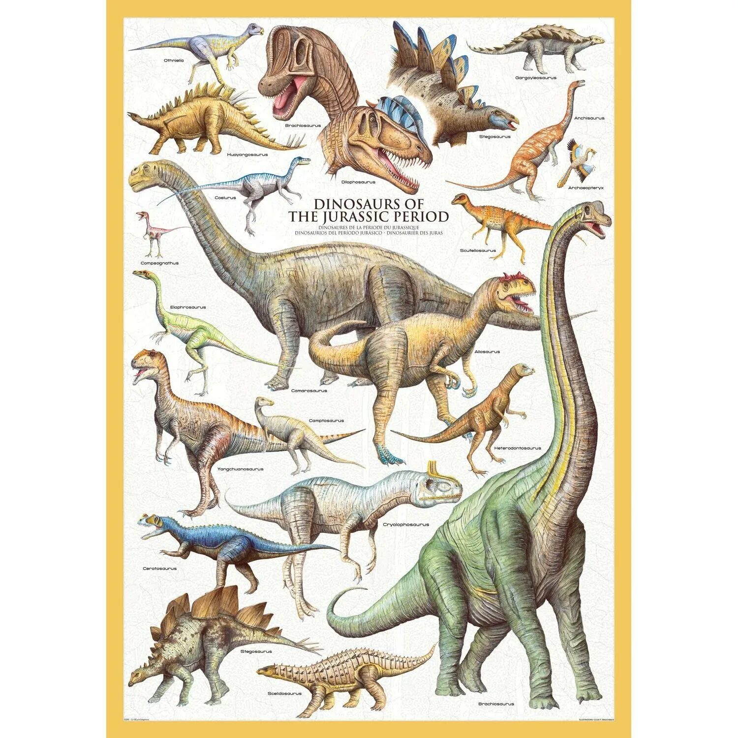 название всех динозавров с картинками. название всех динозавров. какие есть динозавры. виды травоядных динозавров. динозавры названия.