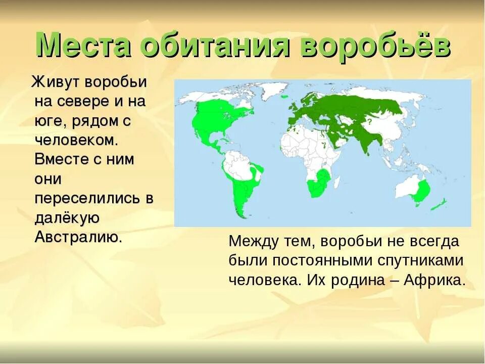 В каких районах обитаешь. Местообитанич воробья. Место обитания воробья. Места обитания Воробьев. Ареале обитания воробьёв.