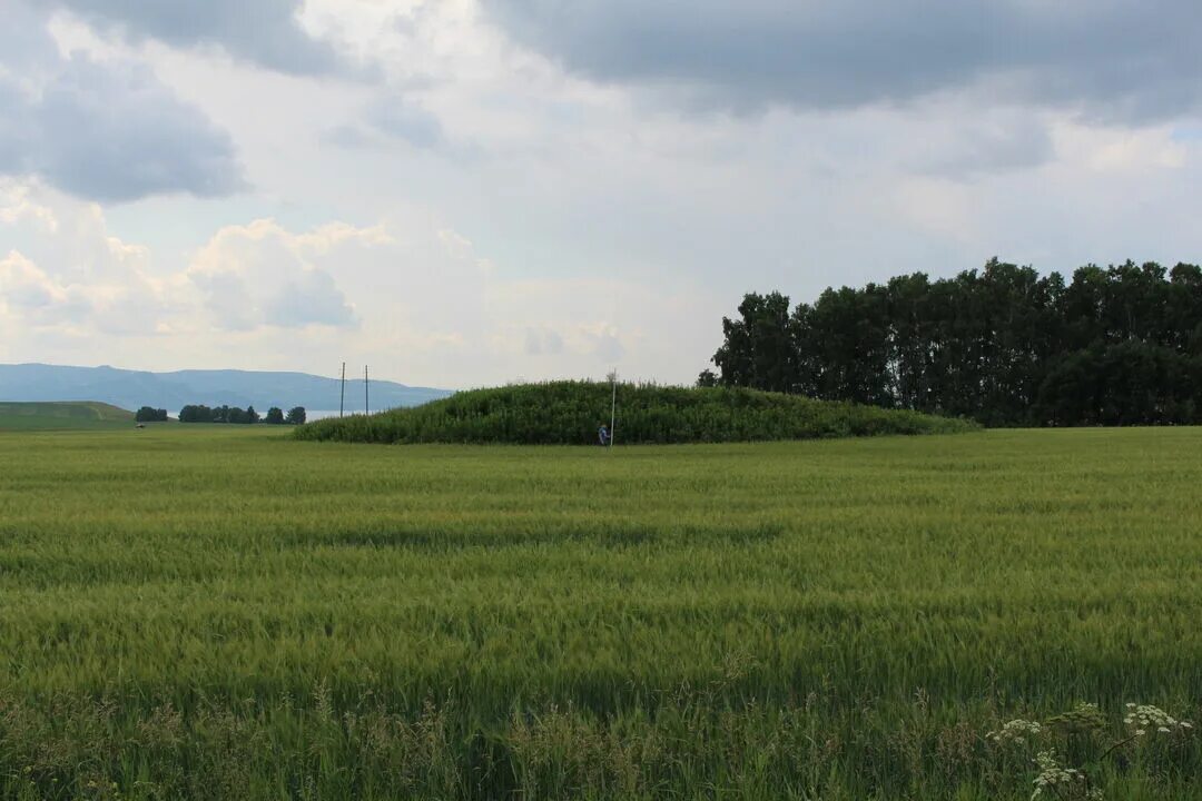 Погода деревня кургане. Погода деревня кургане. Курган деревня беляковка. Курган деревня беляковка. Погода деревня кургане.