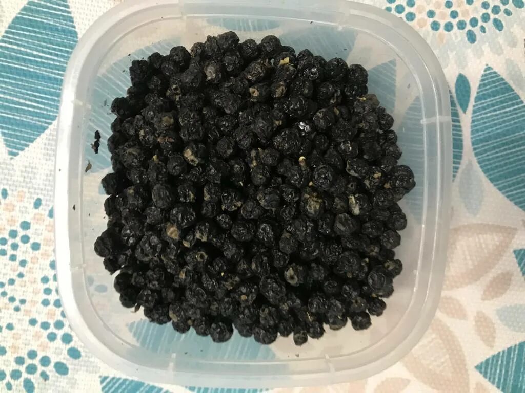 Амурский бархат ягода и их применение. Амурский бархат ягоды. бархат дальневосточный ягода. амурский бархат ягоды лечебные. алтайский бархат ягода.