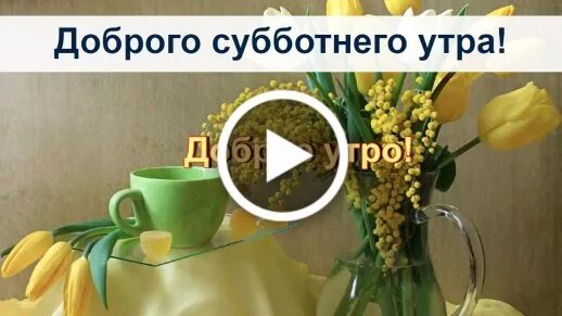 Добрый день видео тик. Открытки доброе утро суббота. Тик-ток с добрым утром. Тик ток открытки с добрым утром. Тик ток доброе утро суббота.