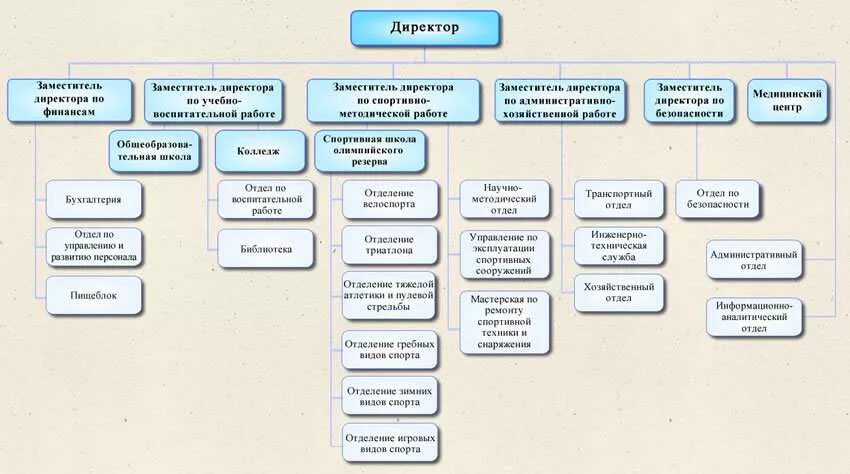 Какие заместители у директора школы. Структура спортивного комплекса. виды заместителей директора. должности в спортивной школе. организационная структура спортивного комплекса.