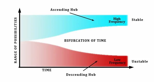 Время b. Бифуркация пространства и времени. Бифуркация или время.. High Frequency graph. Responds to Pressure and lower Frequency Vibrations?.