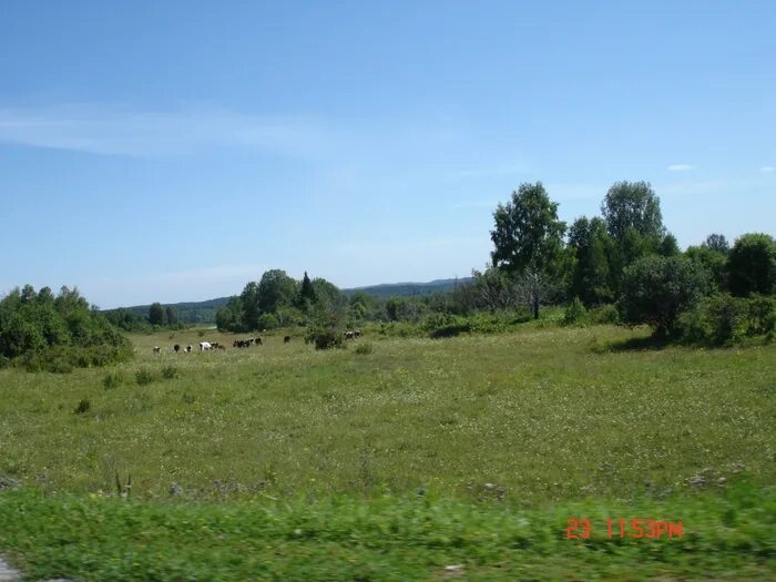 Погода в салаире на неделю. Природа Салаира Кемеровская область. Салаир Новосибирск. Салаир фото. Салаир Кемеровская область фото природы соловьи.