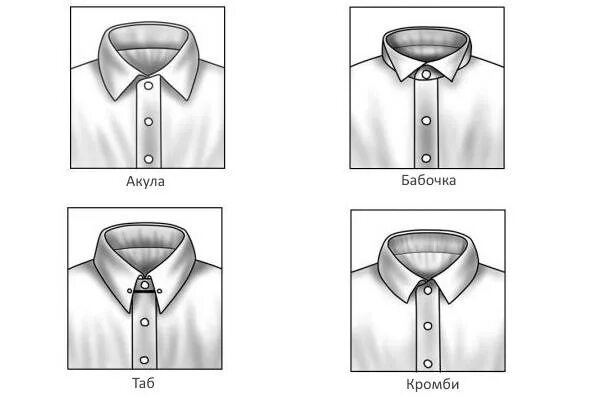 Воротник мужской рубашки. Форма воротника у рубашки. Воротник рубашки название. Название Воротников у рубашек.