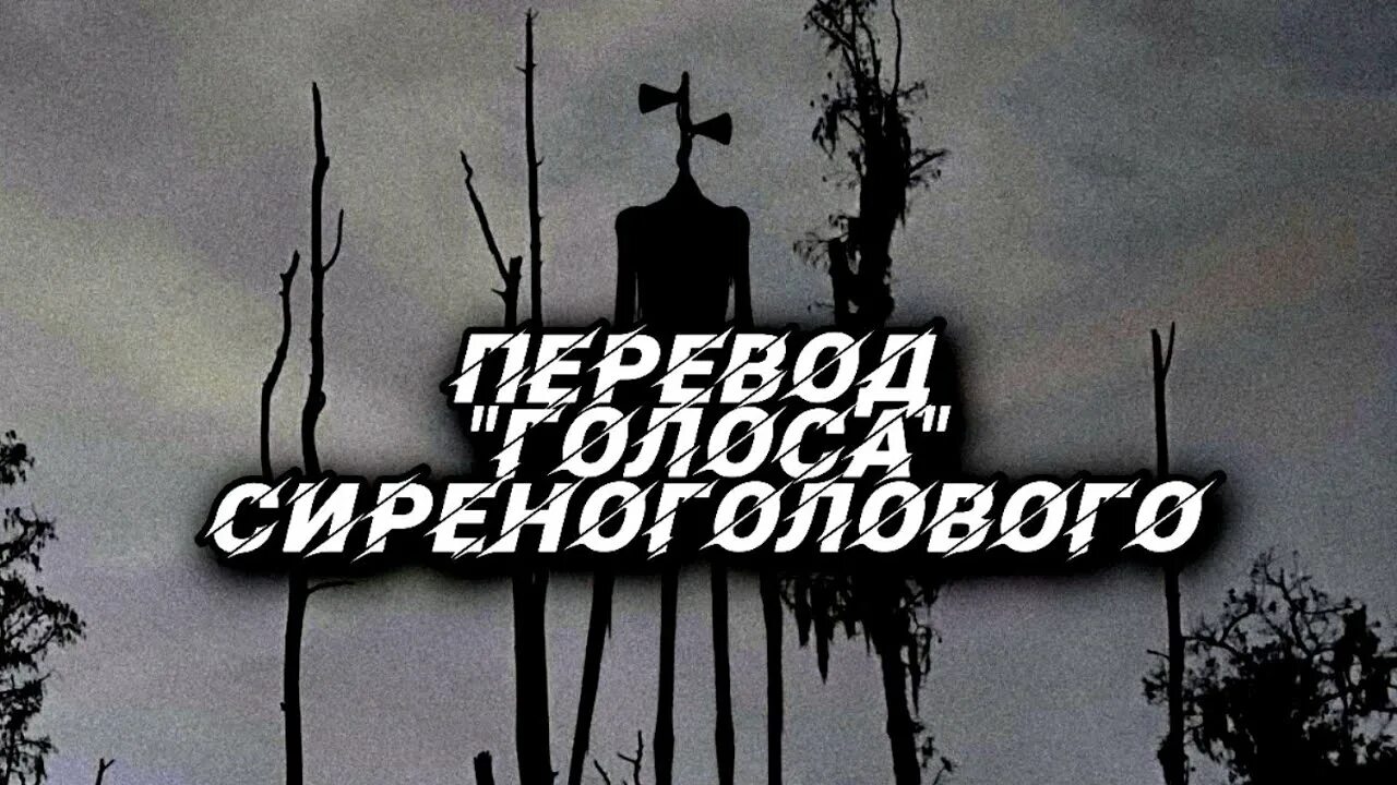 Звуки сиреноголового. Звук сиреноголового слушать. Звуки сиреноголового как он говорит. Фото сиреноголового отведены в красный круг. Звуки сиренаголового