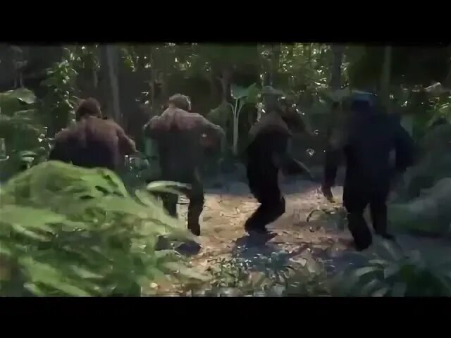 T killah обезьяны