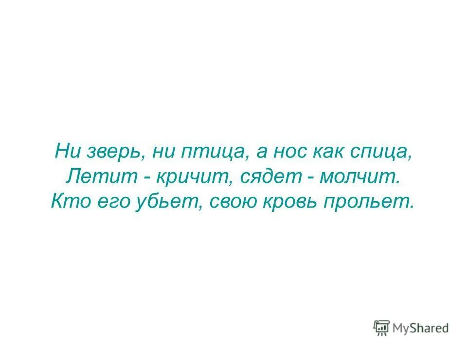 Ни верг. Ни зверь ни птица. Ни птица ни зверь ни человек никто и ничто. Ни зверь ни птица а нос как спица. Летит кричит сядет молчит кто его убьет свою кровь прольет.