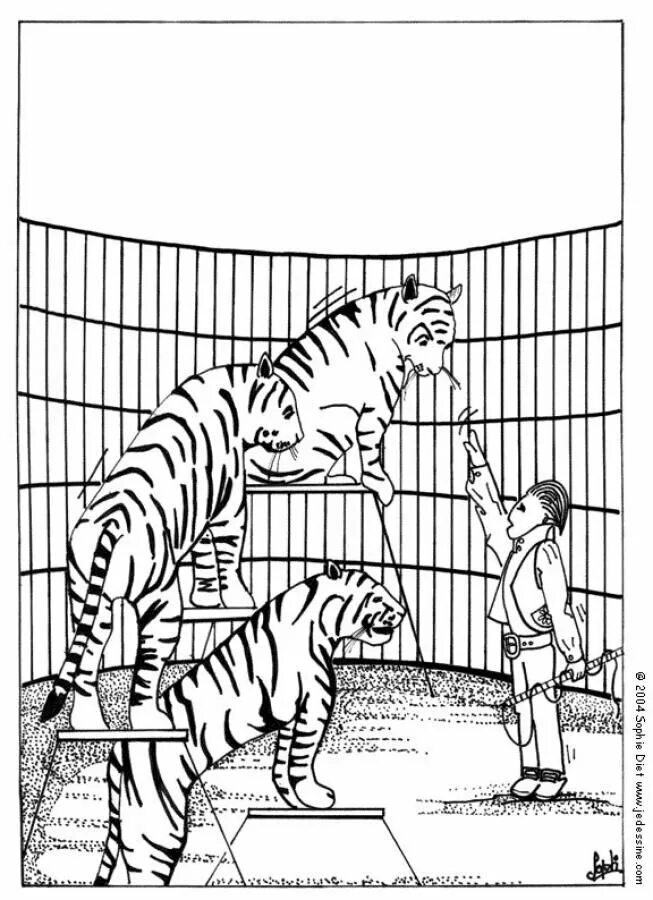 Рисуем животных зоопарка. Тигр. Раскраска. Раскраска тигра. Раскраска зоопарк. Тигр раскраска для детей.