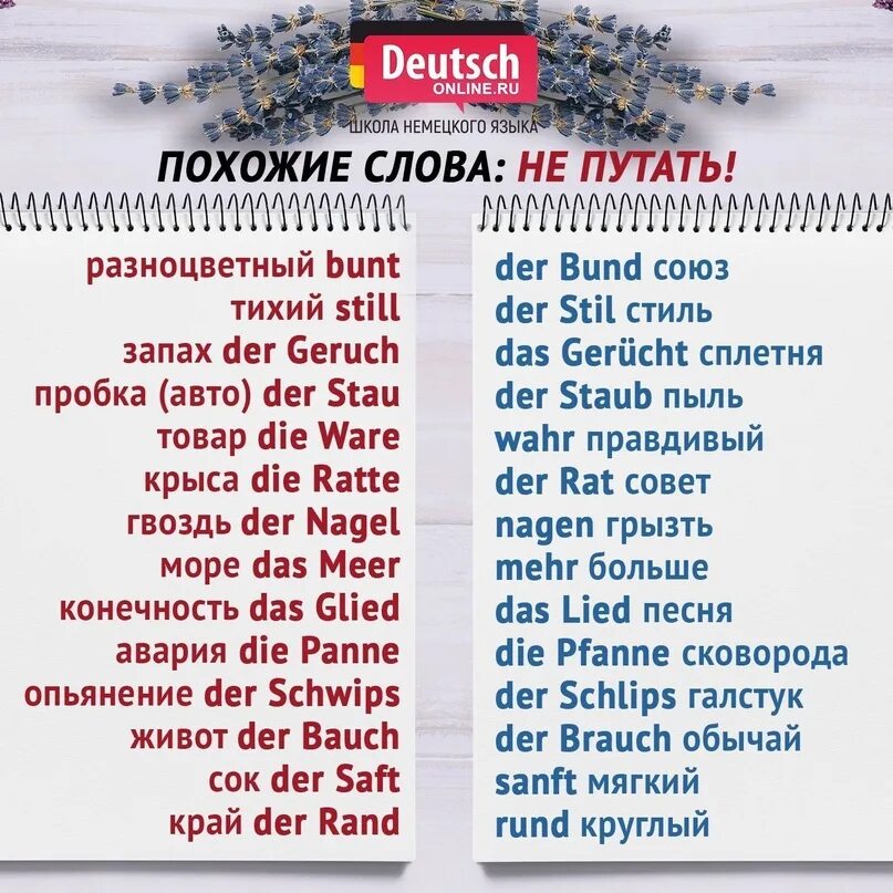 Слова по немецкому языку. Похожие слова на немецком. Слова пришедшие из немецкого языка. Немецкие слова которые. Немецкие слова в русском языке.