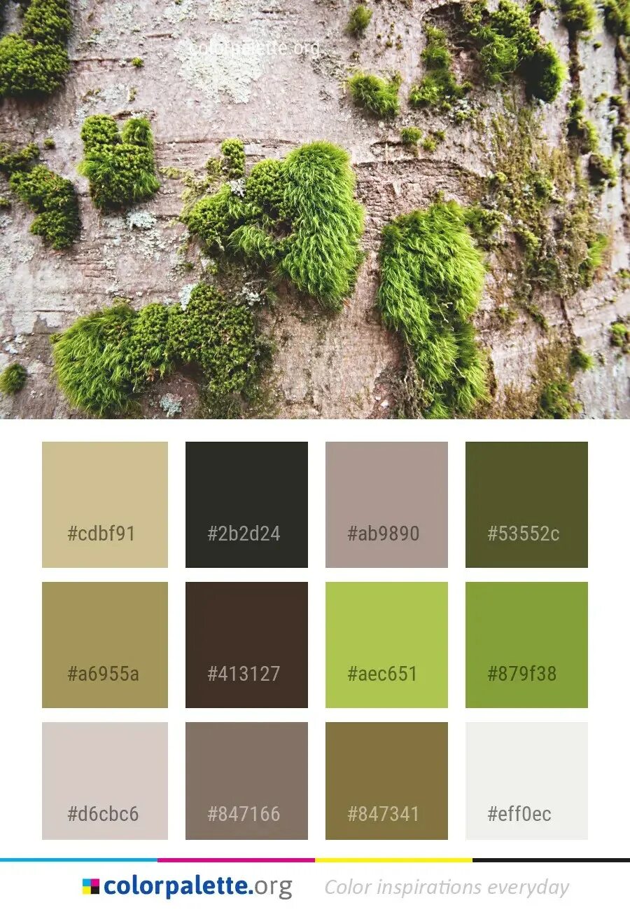 plant health - Is dry sphagnum moss dead? - Gardening & Landscaping Stack Exchan