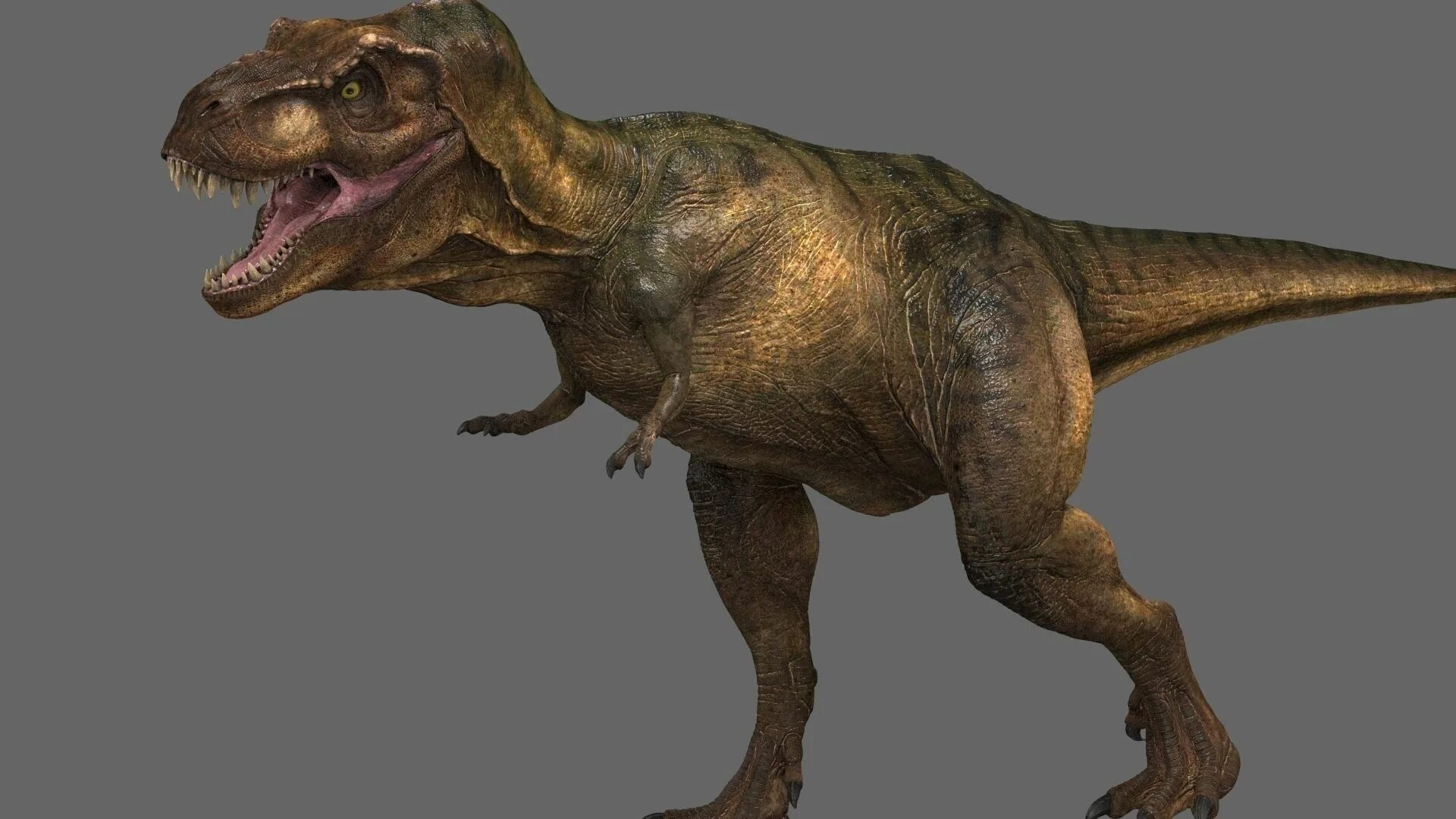 Тираннозавр рекс 3d. Тираннозавр рекс 3d модель. Динозавр 3д. 3д модель членозавра.