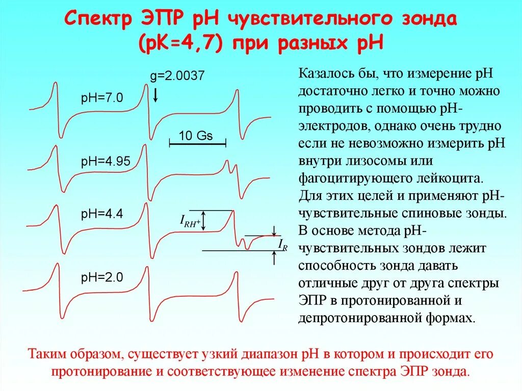 Зонд спектр