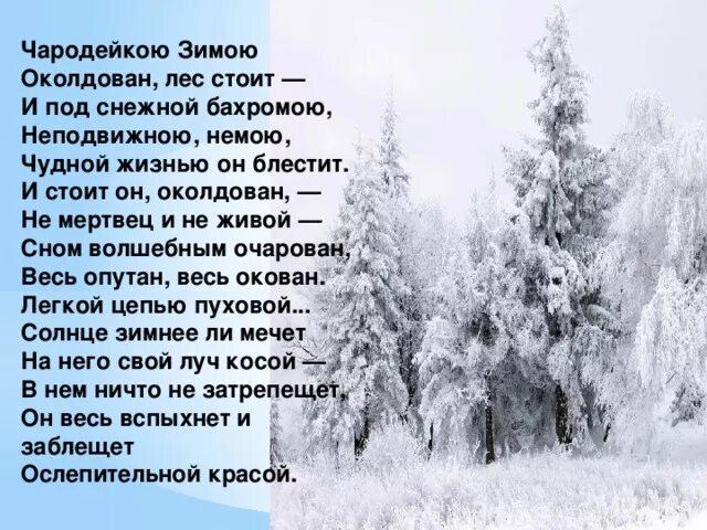 Тютчев зимний. Фёдор Тютчев стих Чародейкою зимою. Фёдор Иванович Тютчев Чародейкою зимою стих. Тютчева околдован лес. Стих Чародейкою зимою.