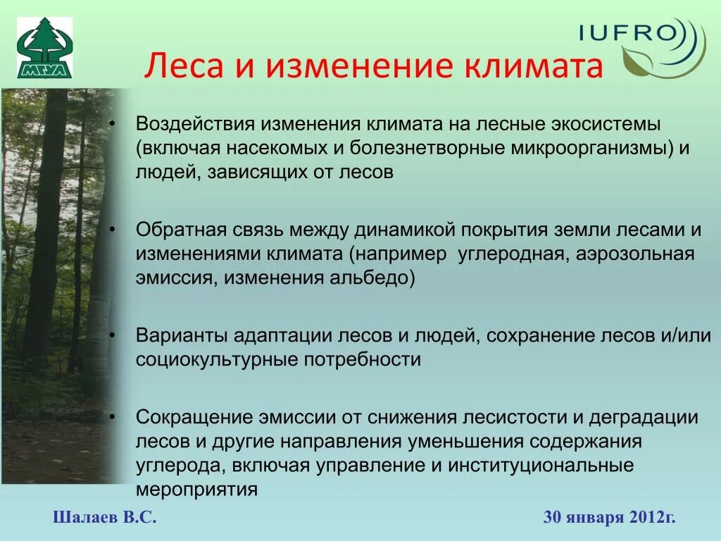 Изменения климата на леса. Влияние лесов на климат. Климат леса влияние на человека. Как лес влияет на климат. Изм лес