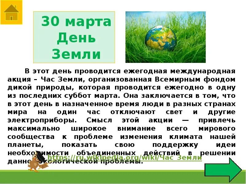 Экологические дни в году. Сообщение из экологических дней. Сообщение о экологических дней. Сообщение об одном экологическом дне. Сообщение об одном из экологических дней.